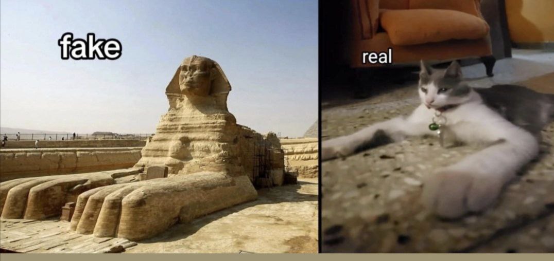 👤 - -