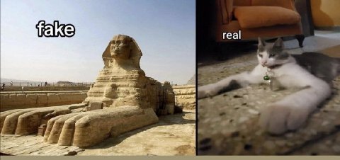👤 - -