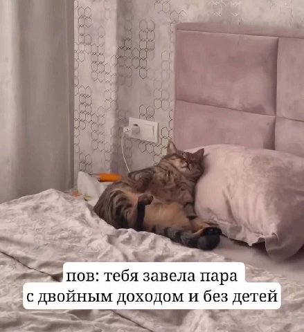 4 пов: тебя завела пара с двойным доходом и без детей