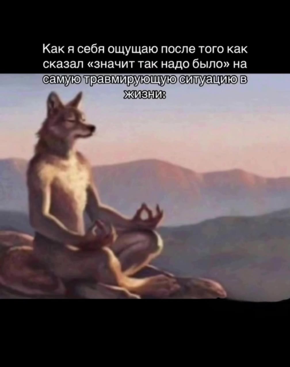 Как я себя ощущаю после того как сказал «значит так надо было» на правмирующуюсивуащию]в] самуютравмирующуюсивуащию]в] самуюжравмирующую ситуацию, iB) самуютравмируощу еитуащик]в)