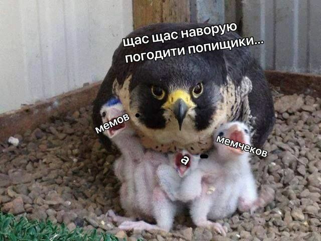 4 шас щас наворую попищикИ--- 9 a A a. 9
