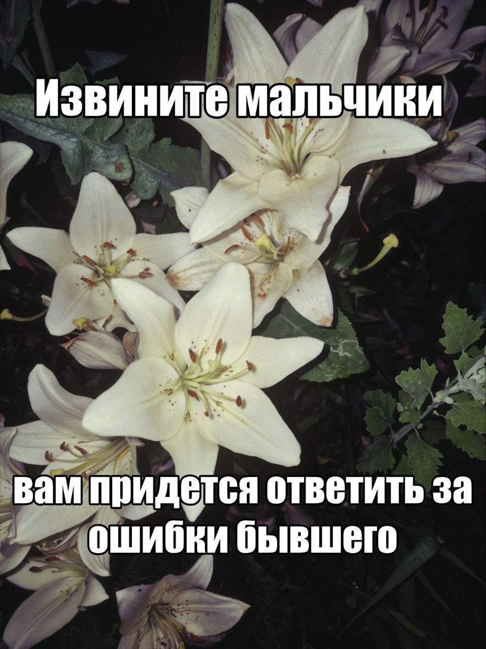 Извините мальчики вам придется ответить за ошибки бывшего