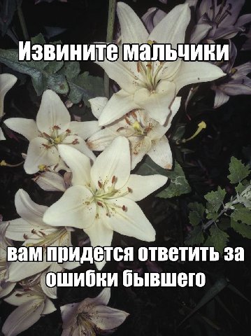 Извините мальчики вам придется ответить за ошибки бывшего