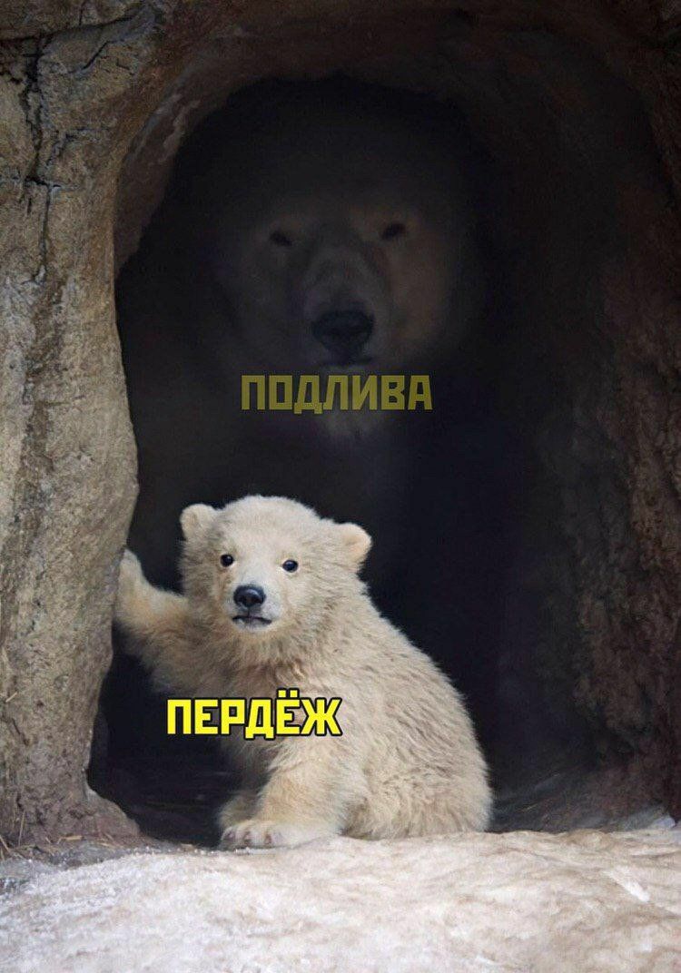 ПЕРД