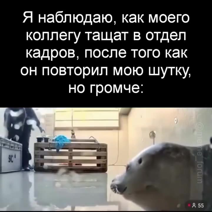 Я наблюдаю, как моего коллегу тащат в отдел кадров, после того как он повторил мою шутку, но громче: