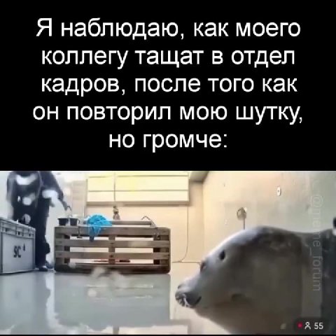 Я наблюдаю, как моего коллегу тащат в отдел кадров, после того как он повторил мою шутку, но громче: