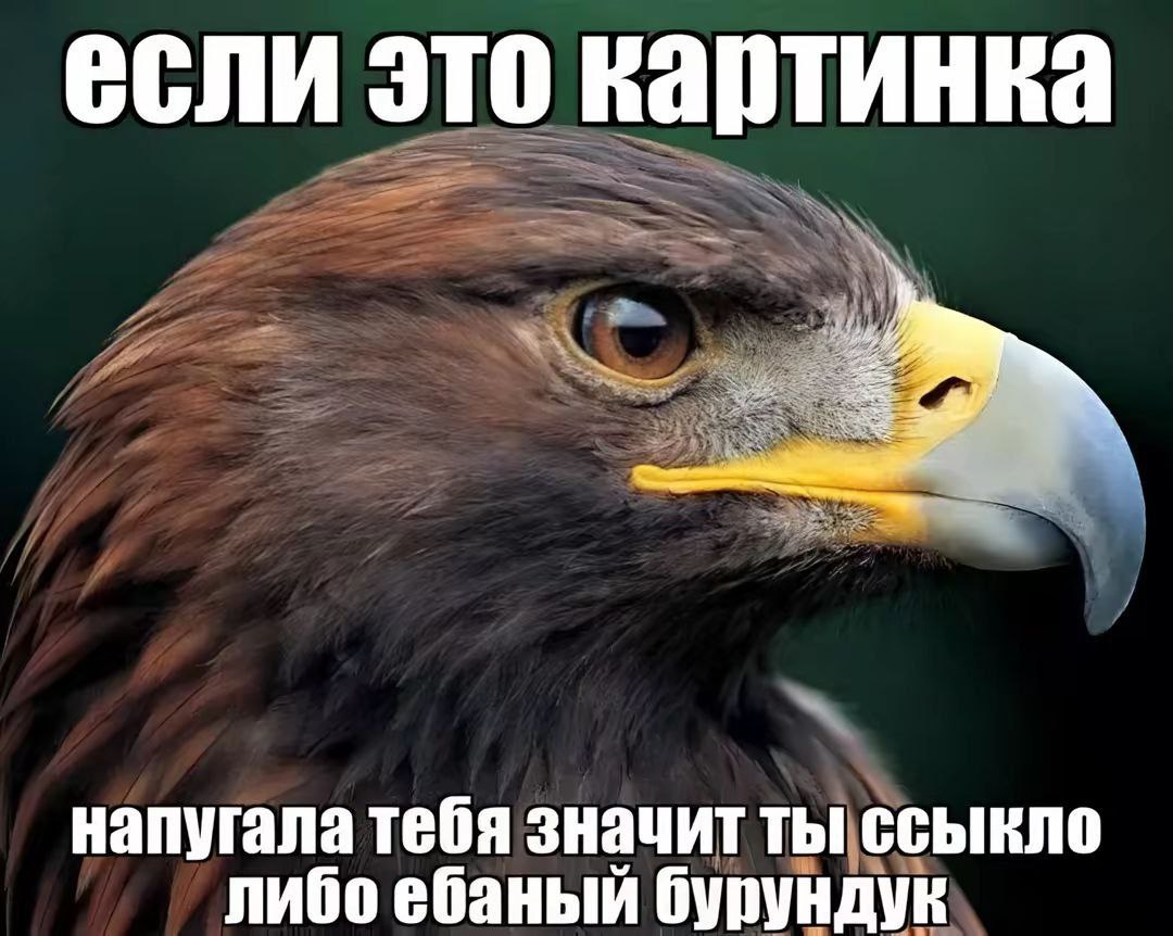если это напугала тебя значит ты ссыкло либо ебаный бурундук