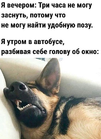 Я вечером: Три часа не могу заснуть, потому что не могу найти удобную позу. Я утром в автобусе, разбивая себе голову об окно: 4 a Me