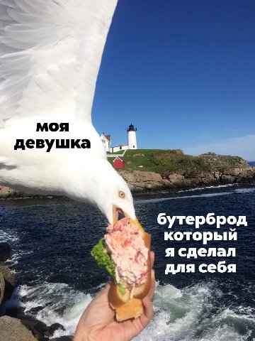 моя девушка бутерброд который ясделал для себя