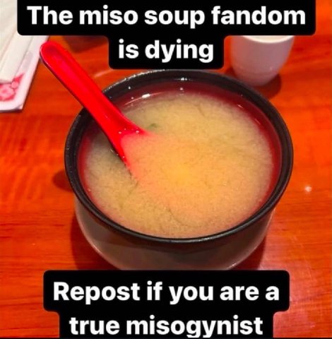 The miso soup fandom is dying Repost if you area true misogynist