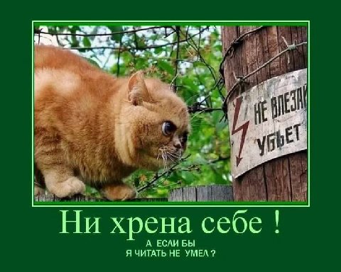 Ни хрена себе А ЕСЛИ БЫ Я ЧИТАТЬ НЕ УМЕЛ