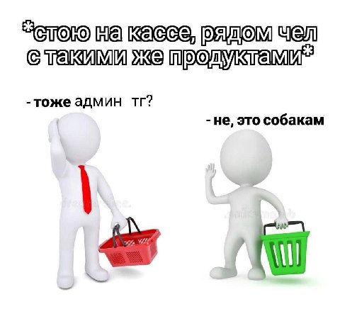 Стою Yen тоже админ не, это собакам