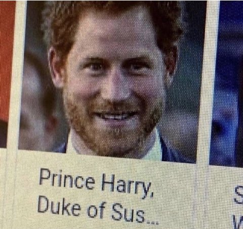 iif Prince Harry Duke of Sus