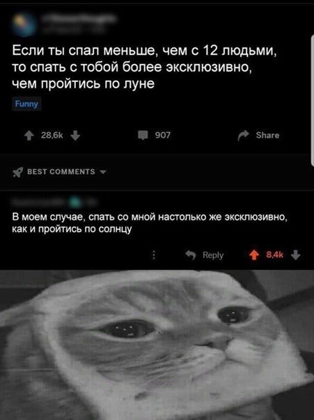 Если ты спал меньше, чем с 12 людьми, то спать с тобой более эксклюзивно, чем пройтись по луне Funny 4 907 Share BEST COMMENTS В моем случае, спать мной настолько же эксклюзивно, как и пройтись по сол