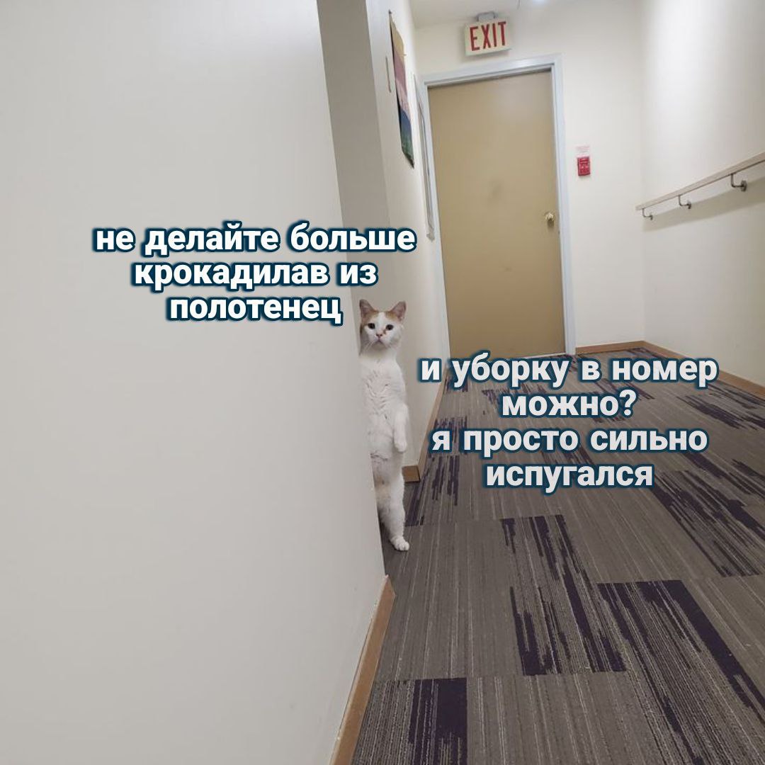 не делайте больше у крокадилав из полотенец и уборку в номер можно? я просто сильно испугался