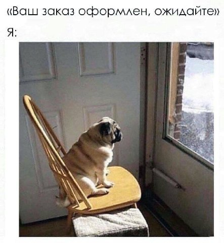 «Ваш заказ оформлен, ожидайте» A AN