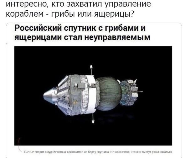 интересно, кто захватил управление кораблем грибы или ящерицы? Российский спутник с грибами и ящерицами стал неуправляемым