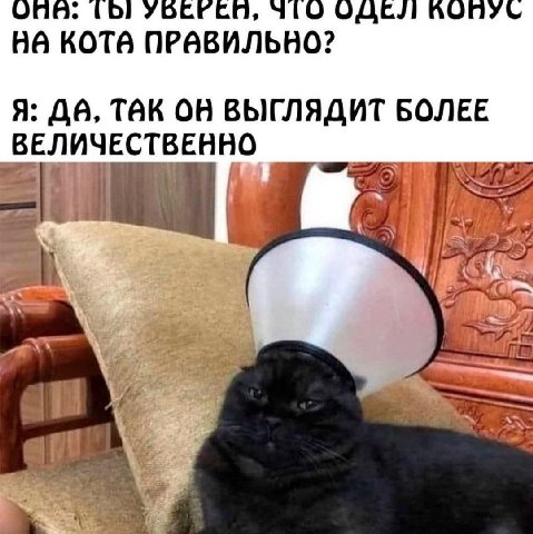 ОДЕЛ AONYL KOTA ПРАВИЛЬНО? Я: TAK ОН ВЫГЛЯДИТ БОЛЕЕ ВЕЛИЧЕСТВЕННО ath