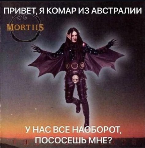 ПРИВЕТ, Я КОМАР ИЗ АВСТРАЛИИ УНАС ВСЕ НАОБОРОТ, ПОСОСЕШЬ МНЕ?