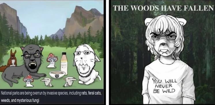 THE WOODS HAVE FALLEN Be ‘A С WILL NEVER National parks are overrun invasive species, including rats, feral cats BE WILD weeds, and mysterious fungi