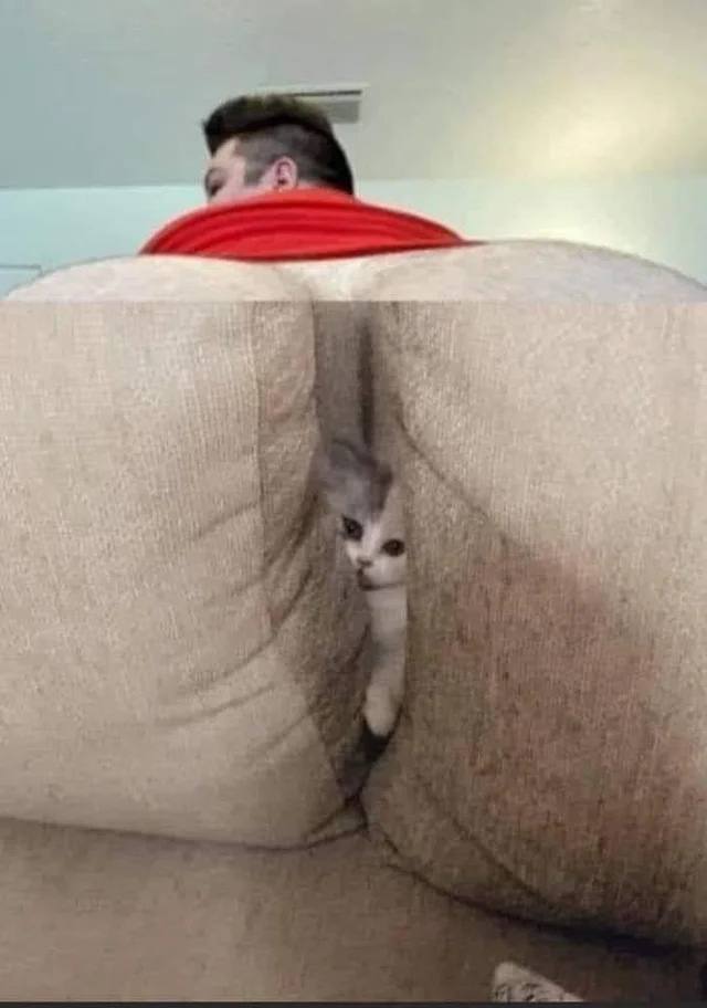 a a