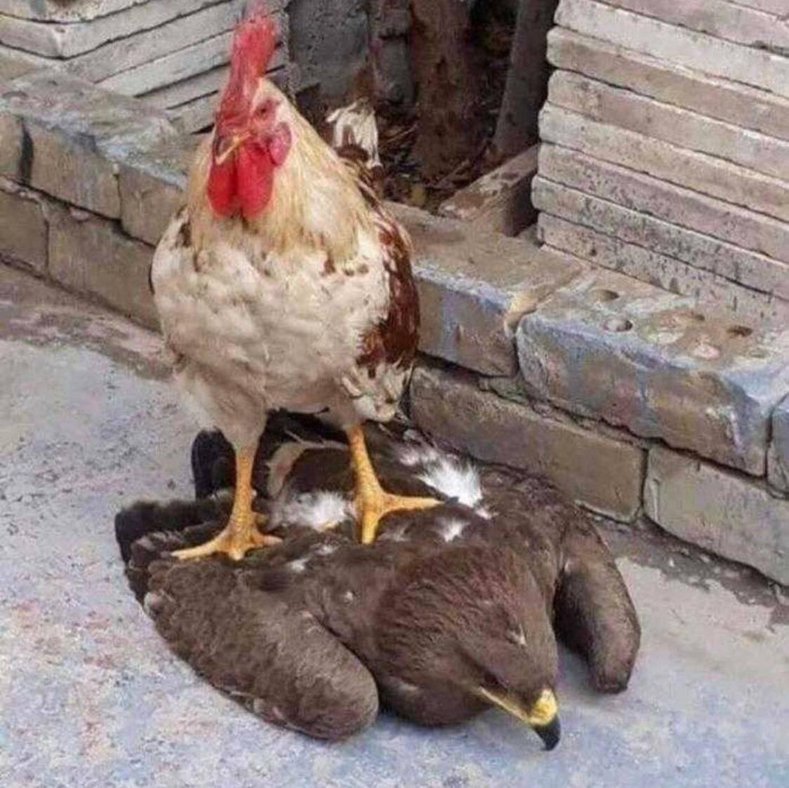 we