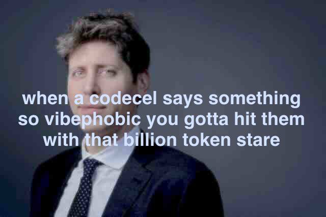 when а содесе! says something so vibephobic you gotta hit them with that billion token stare