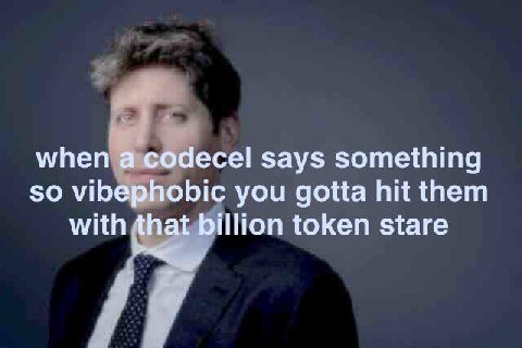 when а содесе! says something so vibephobic you gotta hit them with that billion token stare