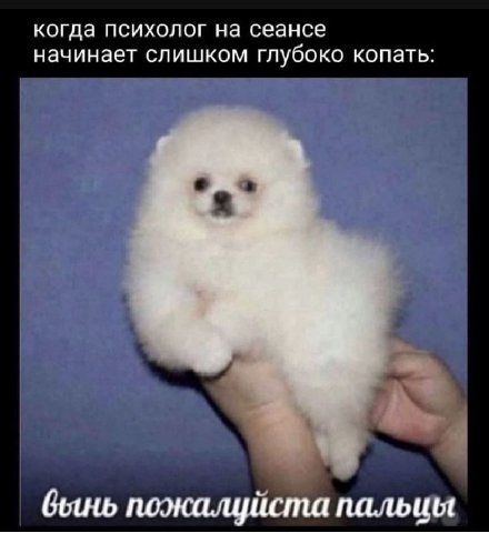 когда психолог на сеансе начинает слишком глубоко копать: бынь пожалуйста