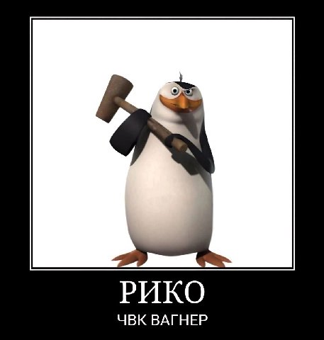 РИКО ЧВК ВАГНЕР