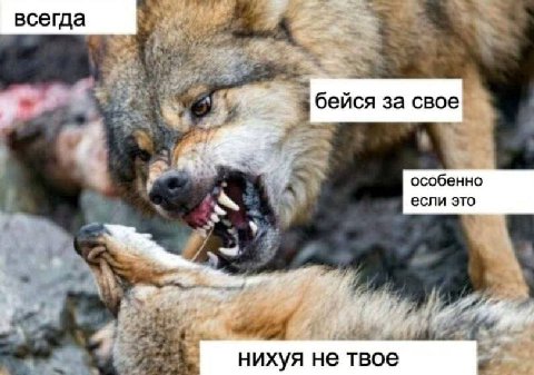 всегда бейся за свое a особенно если это 7 4 3 2. нихуя не твое