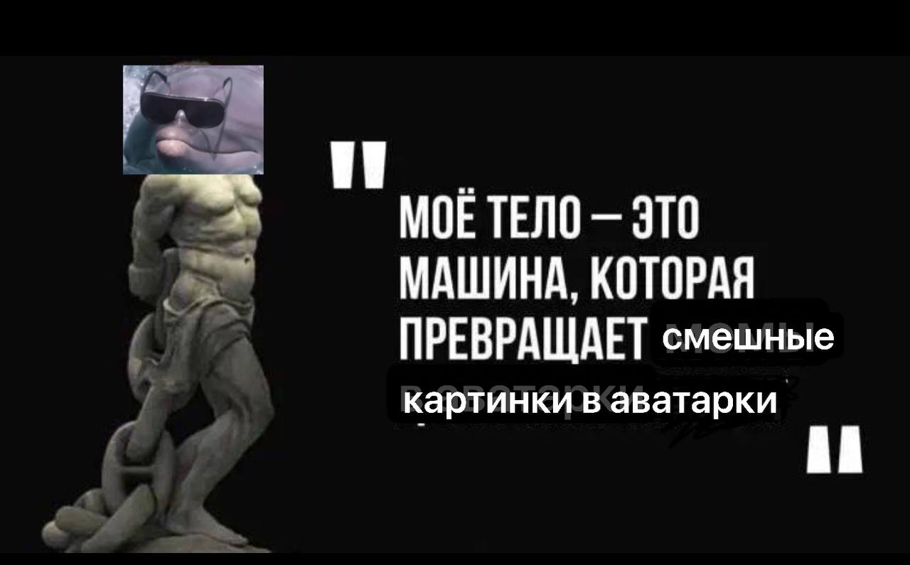 МОЕ ТЕЛО ЭТО МАШИНА, КОТОРАЯ ПРЕВРАЩАЕТ смешные картинки в аватарки