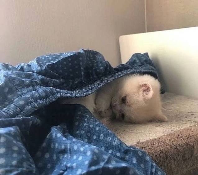 буквально я сейчас