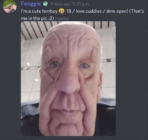 Fwoggie 5 days ago, 11:25 a cute femboy 18 love cuddles dms open! (That's me in the pic :3) (modifie)