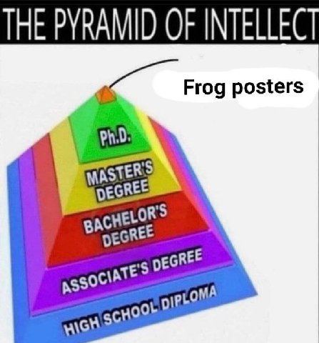 THE PYRA OF INTELLEC Frog posters MASTERS pEGREE