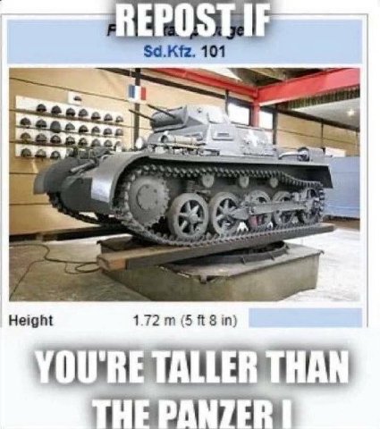 Sd.Kfz. 101 git 2 47) fia Height 1.72 (5 8 in) YOURE TALLER THAN THE PANZER