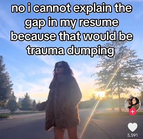 по i cannot explain the gap in my resume because that would be dumpir 5,591