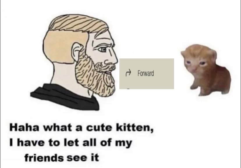 Haha what a cute kitten, have to let all of my friends see it