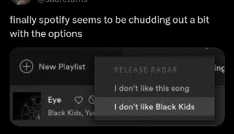 finally spotify seems to be chudding out a bit with the options New Playlist RELEASE RADAR ing don't like this song Eye don't like Black Kids Biack Kids,