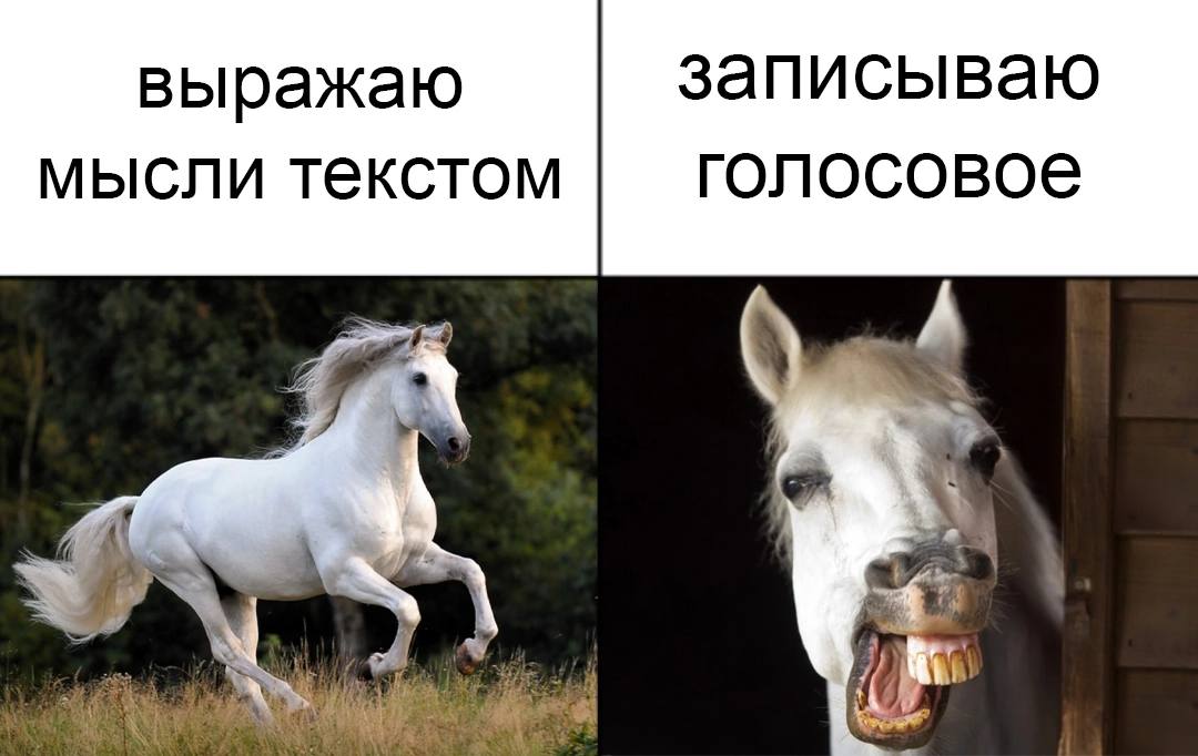 выражаю записываю мысли текстом голосовое
