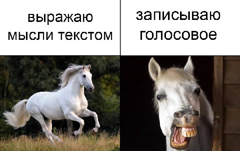 выражаю записываю мысли текстом голосовое