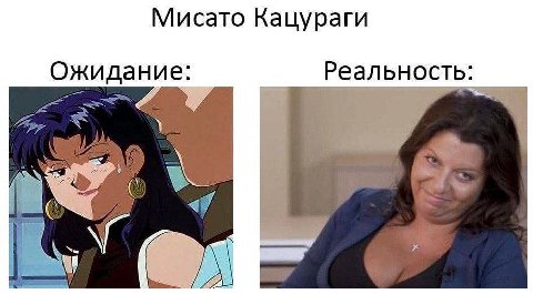 Мисато Кацураги дание: Реальность