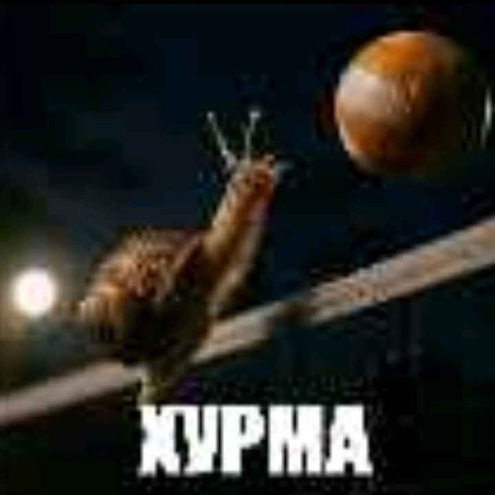 ХУРМА