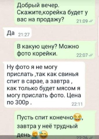 Добрый вечер. будет у вас на продажу? Да 21-27 В какую цену? Можно фото корейки. 22:07 Ну фото A не могу прислать ‚так как свинья спит в сарае, а завтра, как только будет мясом я могу прислать фото. Ц