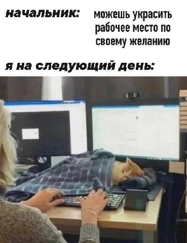 начальник: можешь украсить рабочее место по своему желанию я на следующий день: