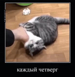 каждый четверг