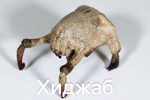 1 i У 4 2 4 4 у a 4
