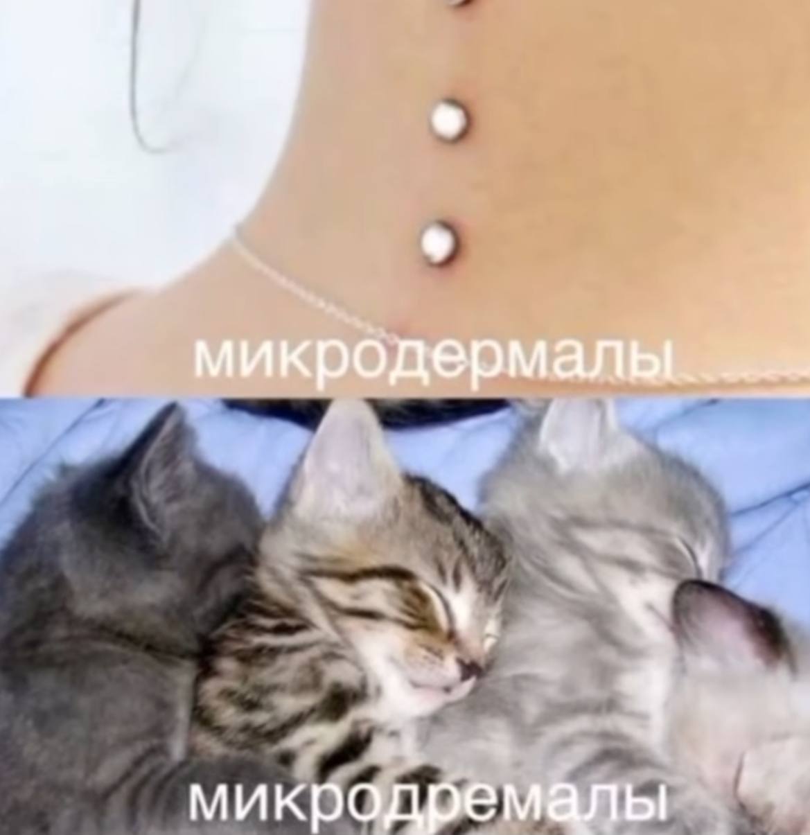 вы?