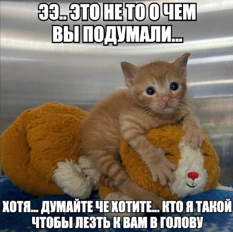ПОДУМАЛИ ХОТЯ... ДУМАЙТЕ ЧЕ ХОТИТЕ... КТО Я ТАКОЙ ЧТОБЫ ЛЕЗТЬ К ВАМ В ГОЛОВУ