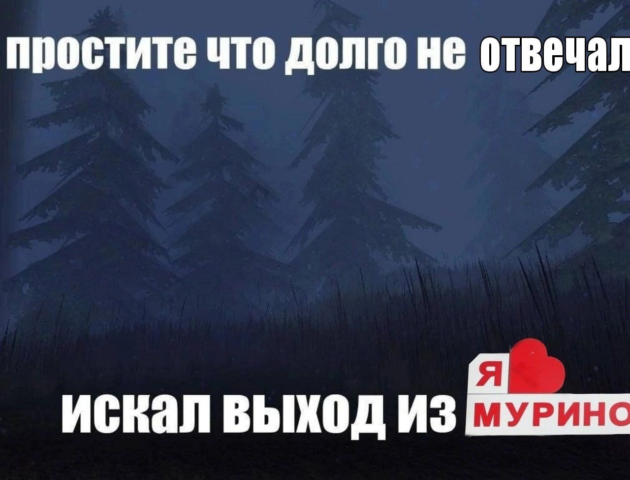простите что долго не отвечал искал выход из